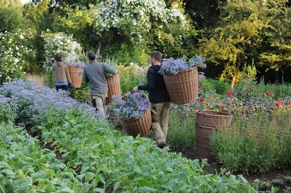 WALA Heilmittel GmbH: Personen tragen Körbe mit medizinischen Heilpflanzen durch einen Garten.